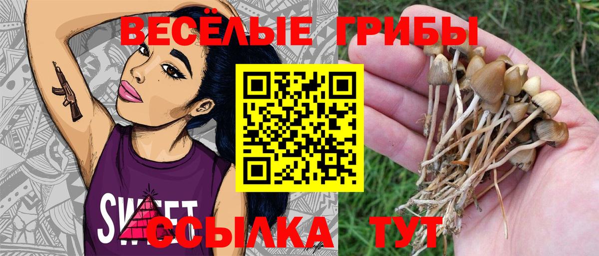 Галлюциногенные грибы ЛСД  Вход с VPN  Надым  Псилоцибиновые грибы прущие грибы 