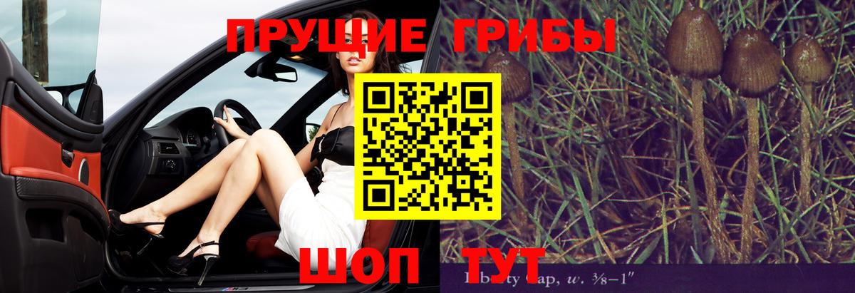 LSD-25 Надым